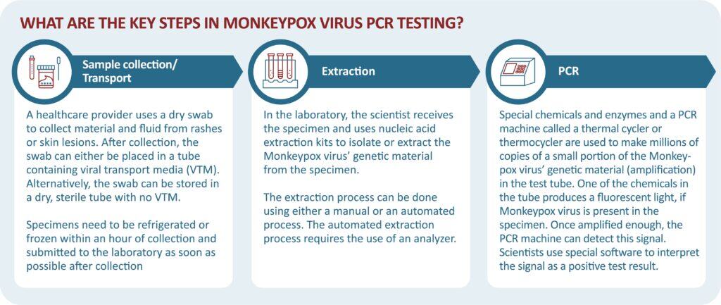 key steps in mpox PCR testing