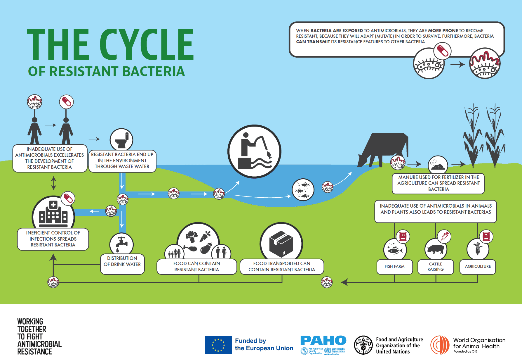 2022-cde-infog-print-cycle-amr-eng (1)