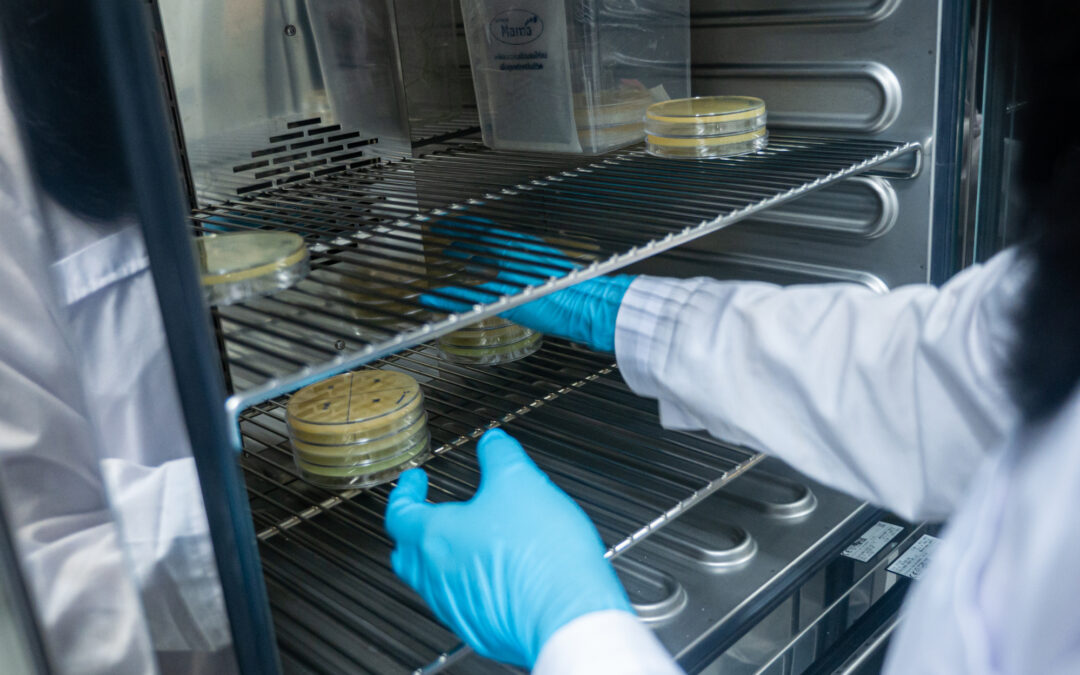 PFSCM supporting the procurement and delivery of laboratory commodities for AMR surveillance initiatives in Africa