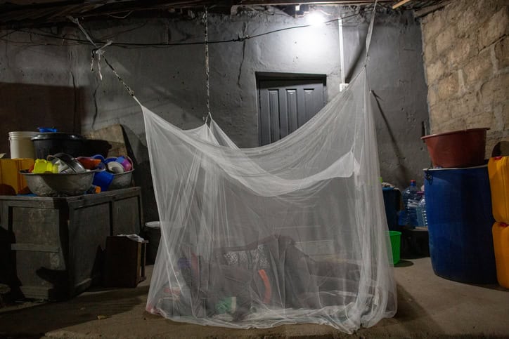 person resting while protected by a bed net