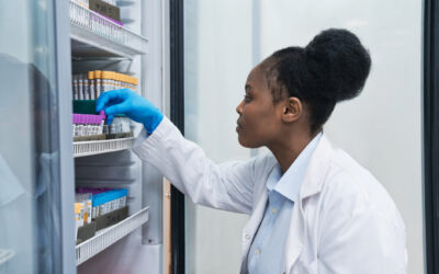 Shortened cold chain route to Mozambique reduces costs and lead times