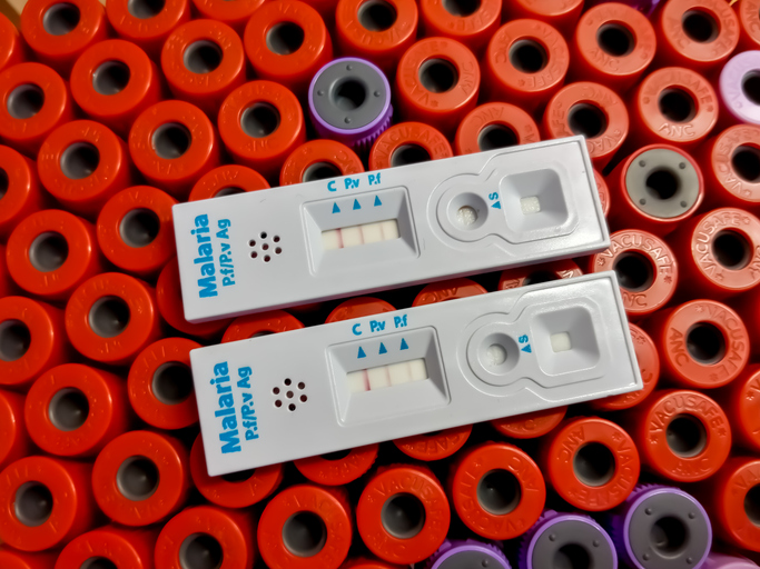 Malaria test kits